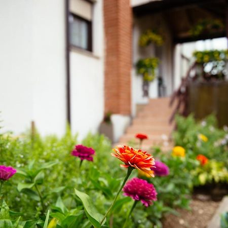 Apartment Sovdat 톨민 외부 사진