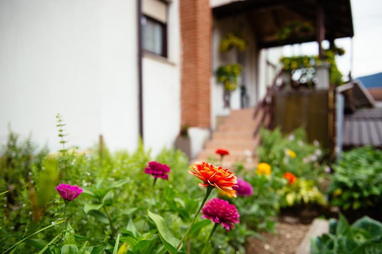 Apartment Sovdat 톨민 외부 사진